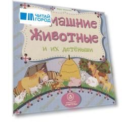 Домашние животные и их детеныши