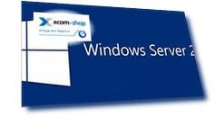 Право на использование Microsoft Windows Server Standard 2019 Russian OEM OLC 2 Core NoMedia/NoKey (APOS) Addtl Lic