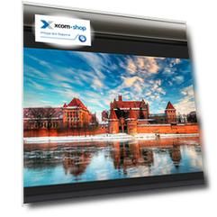 Экран Lumien LCTC-100110