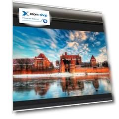 Экран Lumien LCTC-100131