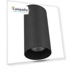 Накладной светильник Lightstar Rullo 216487