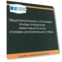 Общетеоретические и отраслевые основы определения эффективности норм уголовно-исполнительного права