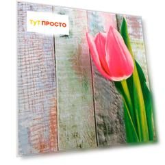 Салфетки Home Collection 20шт 33*33см 3 слоя тюльпаны