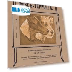 Фокс-террьер