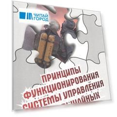 Принципы функционирования системы управления в чрезвычайных ситуациях