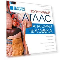 Популярный атлас анатомии человека