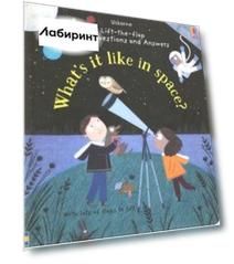 Questions & Answers. What's It Like in Space?
