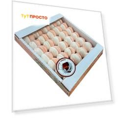 Зефир шоко-сливки 400 г тверьконфи