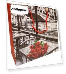 Пакет подарочный ламинированный, 250х250 мм. (Q25-008)