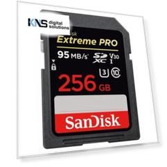 SanDisk 256GB