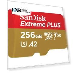 SanDisk 256GB