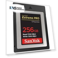 SanDisk 256GB SDCFE-256G-GN4NN