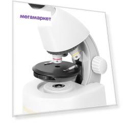 Микроскоп Levenhuk Discovery Micro Polar с книгой