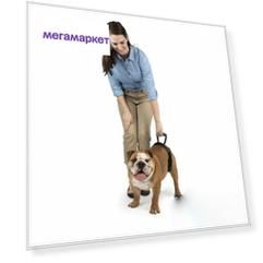 Ходунки поддержка задних лап для пожилых собак PetSafe CareLift Rear Support Harness