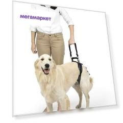 Ходунки поддержка задних лап для пожилых собак PetSafe CareLift Rear Support Harness