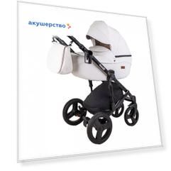 Коляска Ray Corsa Ecco 2 в 1