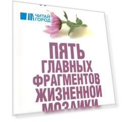 Пять главных фрагментов жизненной мозаики