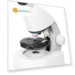 Микроскоп Discovery Micro Polar с книгой