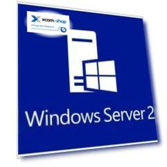 ПО HPE MS WS19 (16-Core) Std ROK en SW