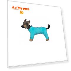 DogModa  Комбинезон велюровый "Галактика"-2 , голубой