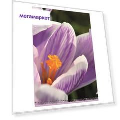 Папка уголок Attache Selection Crocus А4 в в асс