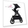 Коляски прогулочные Цвет черный