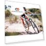 Горные (MTB) Размер 160 см, 12x148mm