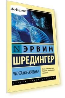 Что такое жизнь?
