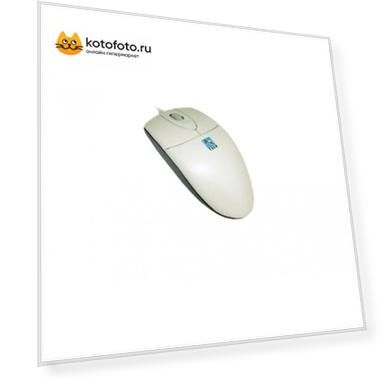 Мышь A4Tech OP-720 White USB