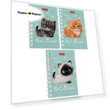Записная книжка, А7, 40 листов, в клетку, на гребне, "Кошарики", обложка мелованный картон, блок офсет