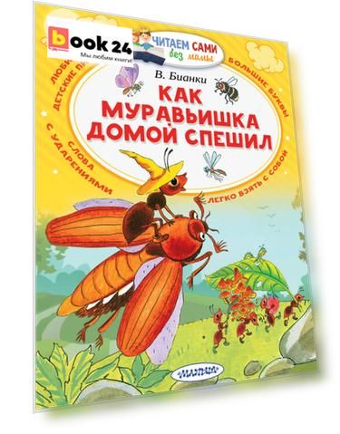 Код номенклатуры: ASE000000000831173