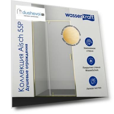 Душевая дверь в нишу Wasserkraft Aisch 55P05 100x200, профиль золото