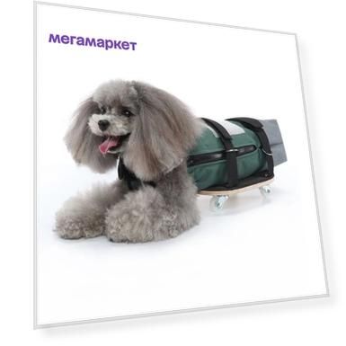 Поддержка задних лап для собак-инвалидов Bentfores, для ползания на колесах, серый, M