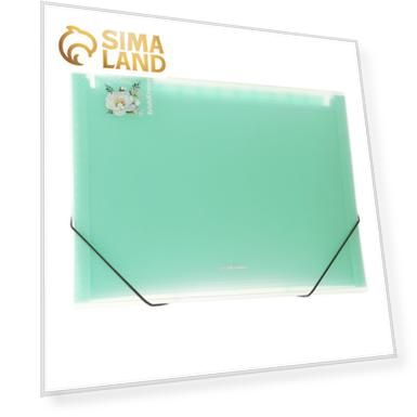 Папка-картотека ErichKrause "Matt Pastel Bloom", A4, с 13 цветными отделениями, в пакете, МИКС