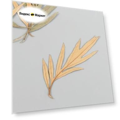 Цвет: бежевый, Размер: 8 см, 5 размер