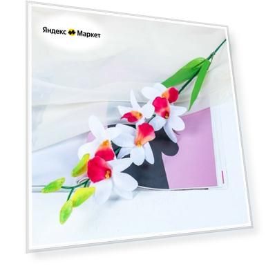 Цвет: белый