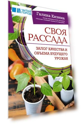 Своя рассада. Залог качества и объема будущего урожая