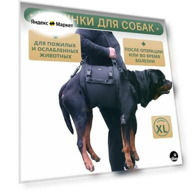 Цвет: черный, Материал: ABS-пластик/Nylon