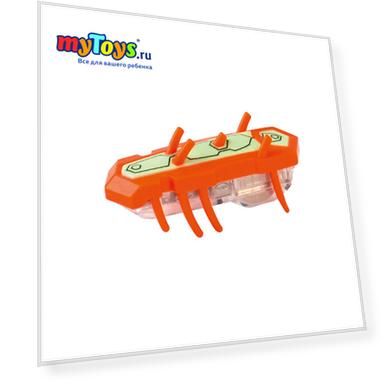 SKU: 5507235, Цвет: оранжевый