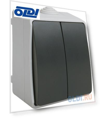 Iek EVS20-K03-10-54-DC ВС20-2-0-ФСр Выключатель двухклавишный для открытой установки ФОРС IP54 IEK