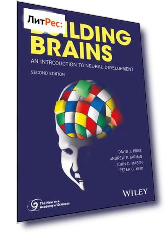 Building Brains