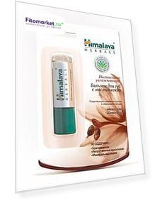 Интенсивно увлажняющий бальзам для губ с маслом какао, 4 мл, Himalaya Herbals