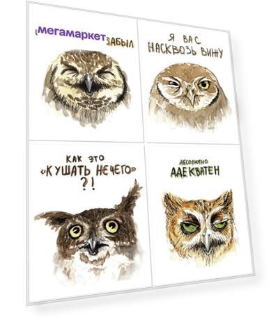 Набор тетрадей Полином Совы, А5+, 48 листов, клетка, на скепках, с полями, 4 штуки/уп