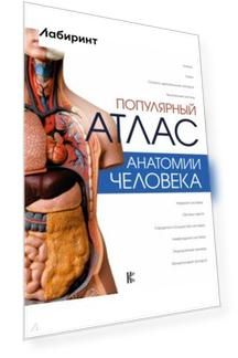 Популярный атлас анатомии человека