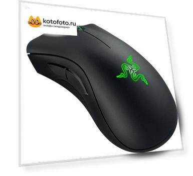 Мышь Razer DeathAdder Essential Black USB (RZ01-02540100-R3M1)