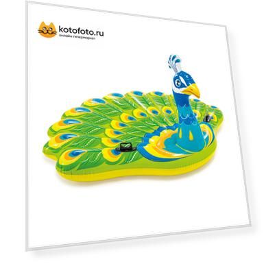 Надувной плот INTEX Павлин, 57250, 193х163х94