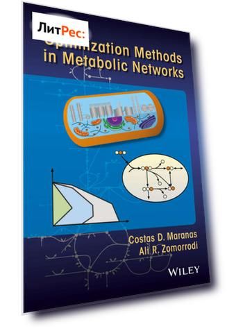 Optimization Methods in Metabolic Networks
