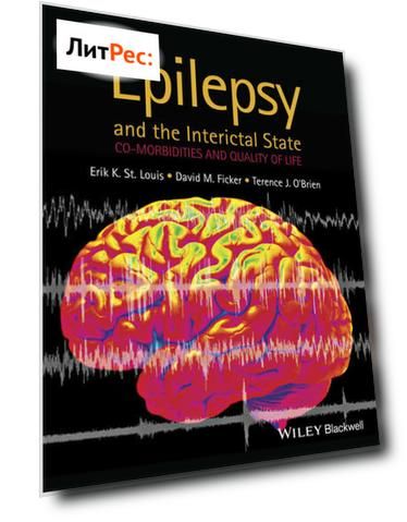 Epilepsy and the Interictal State