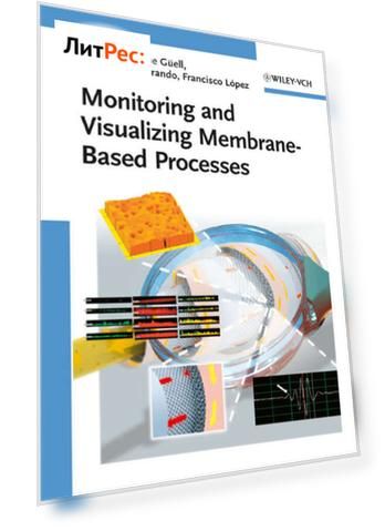 Monitoring and Visualizing Membrane-Based Processes