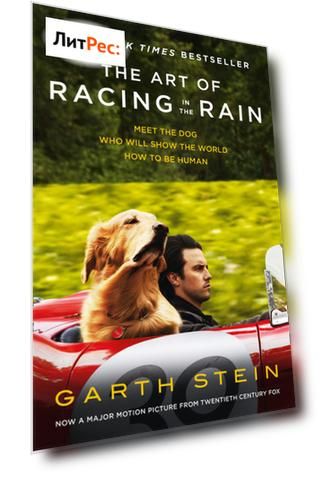 The Art of Racing in the Rain